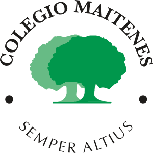 Maitenes